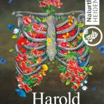 harold-maude-2017